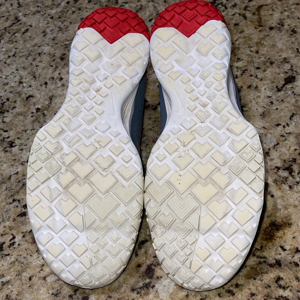 Nike FS Lite Trainer